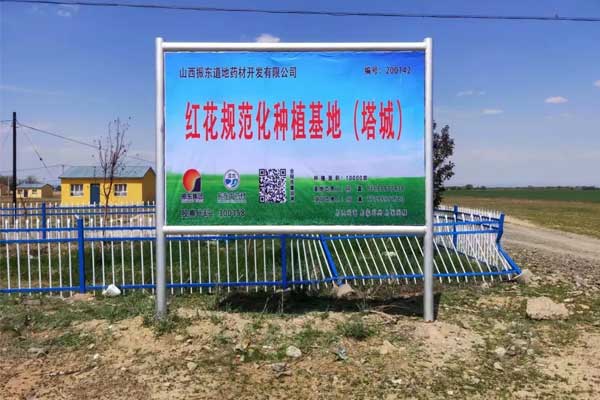 KOK娱乐,KOK娱乐集團,仁愛天使,助學日